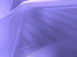 解惑重排序：专业人士的深度解析